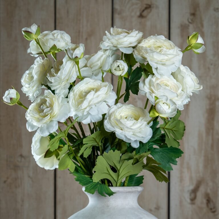 apricot apricot ranunculus product image