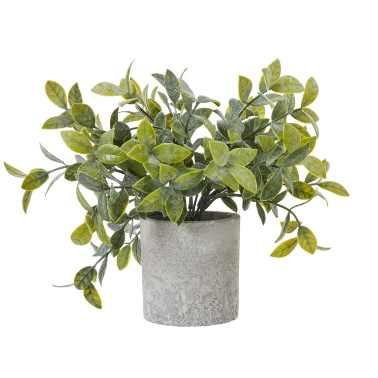 grey small box plant in grey pot product image