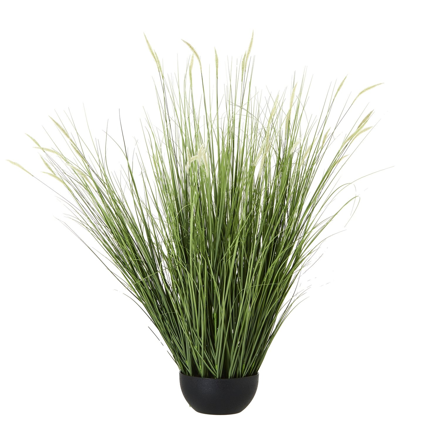 natural large onion grass plant in pot product image