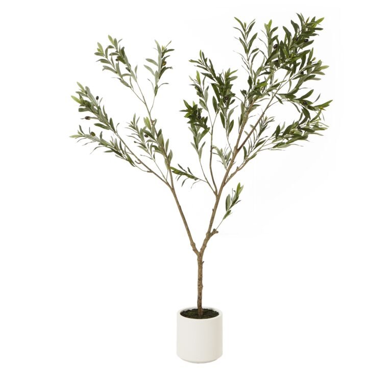 white olive tree in white pot 180cm product image