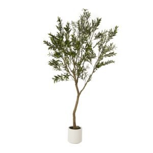 white olive tree in white pot 240cm product image