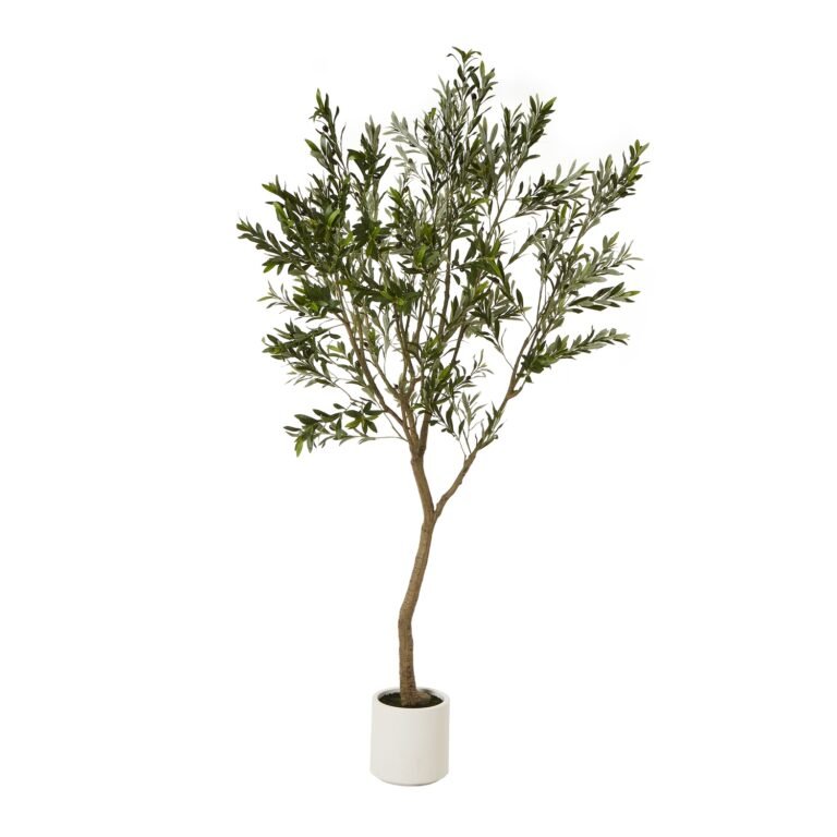 white olive tree in white pot 240cm product image