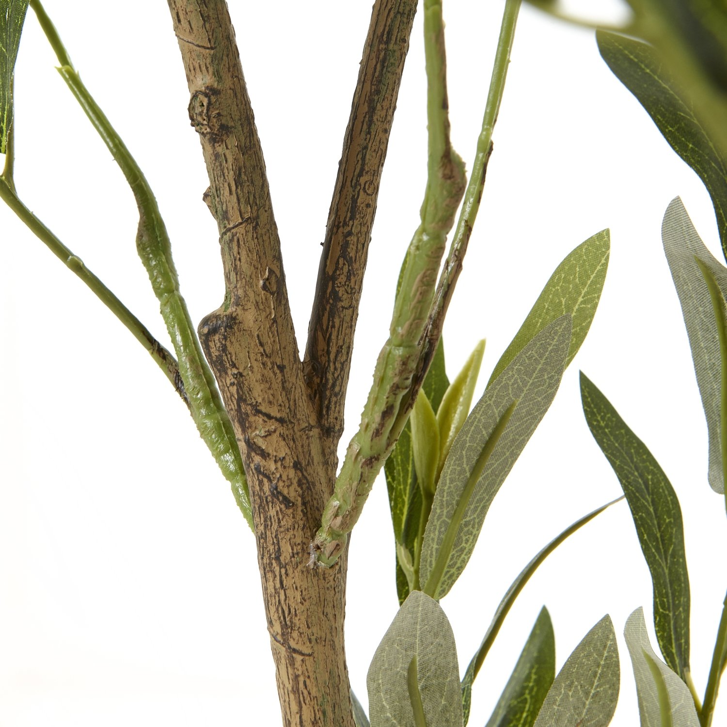 Olive Tree In White Pot 150Cm - Image 3