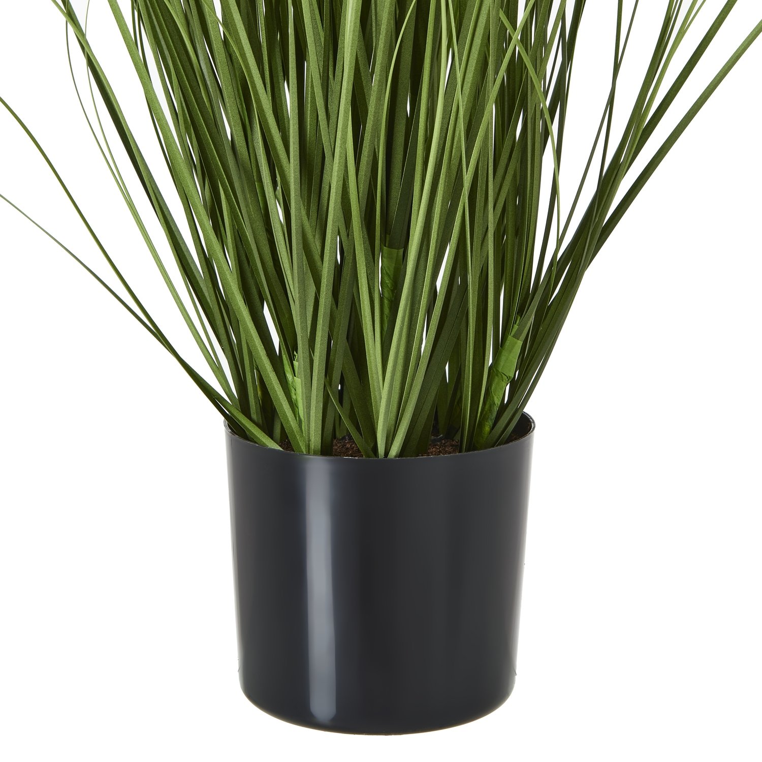 Purple Agapanthus Plant In Pot - Image 3