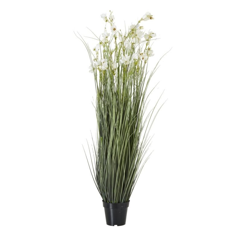 white large white meadow plant in pot product image
