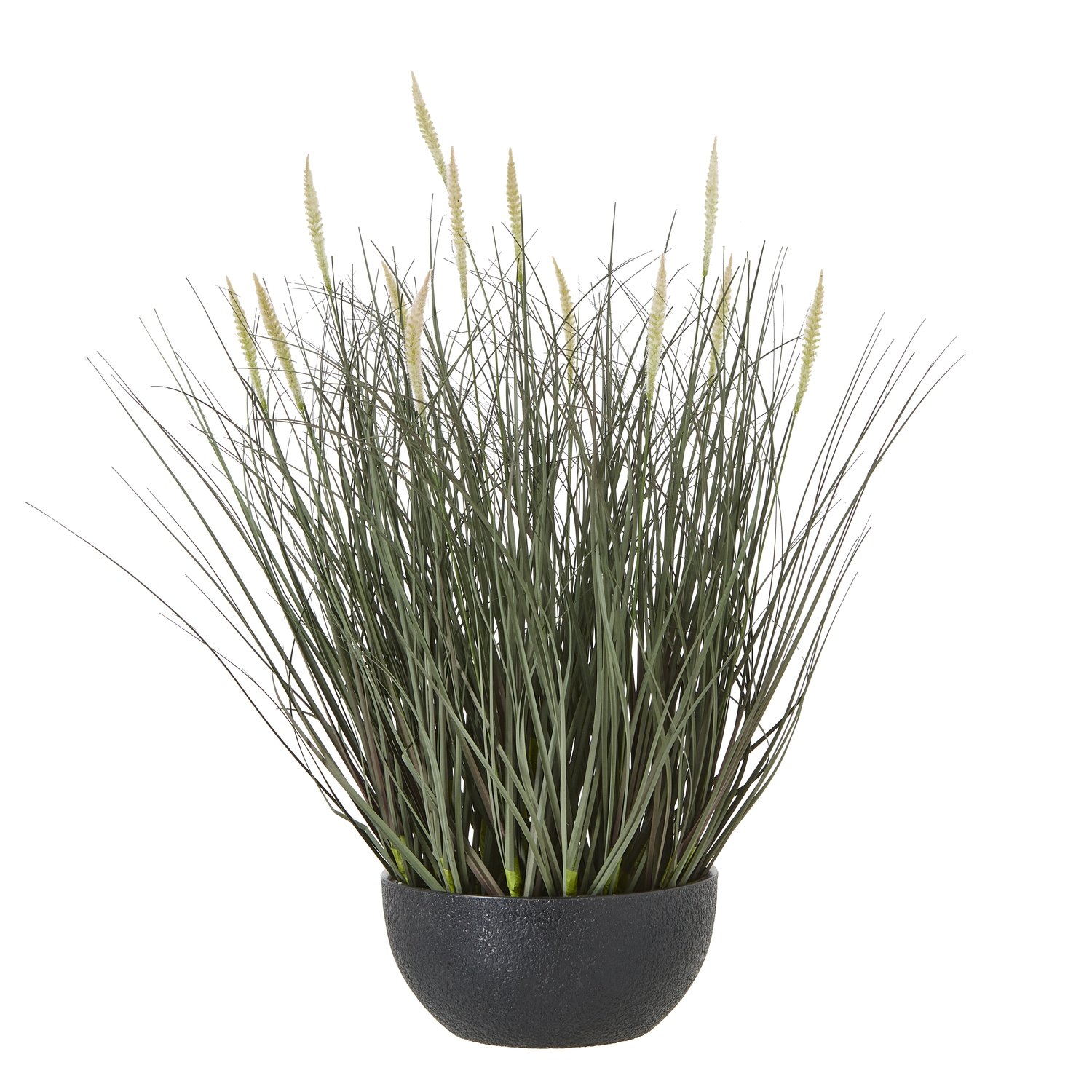 natural fountain grass plant in pot product image