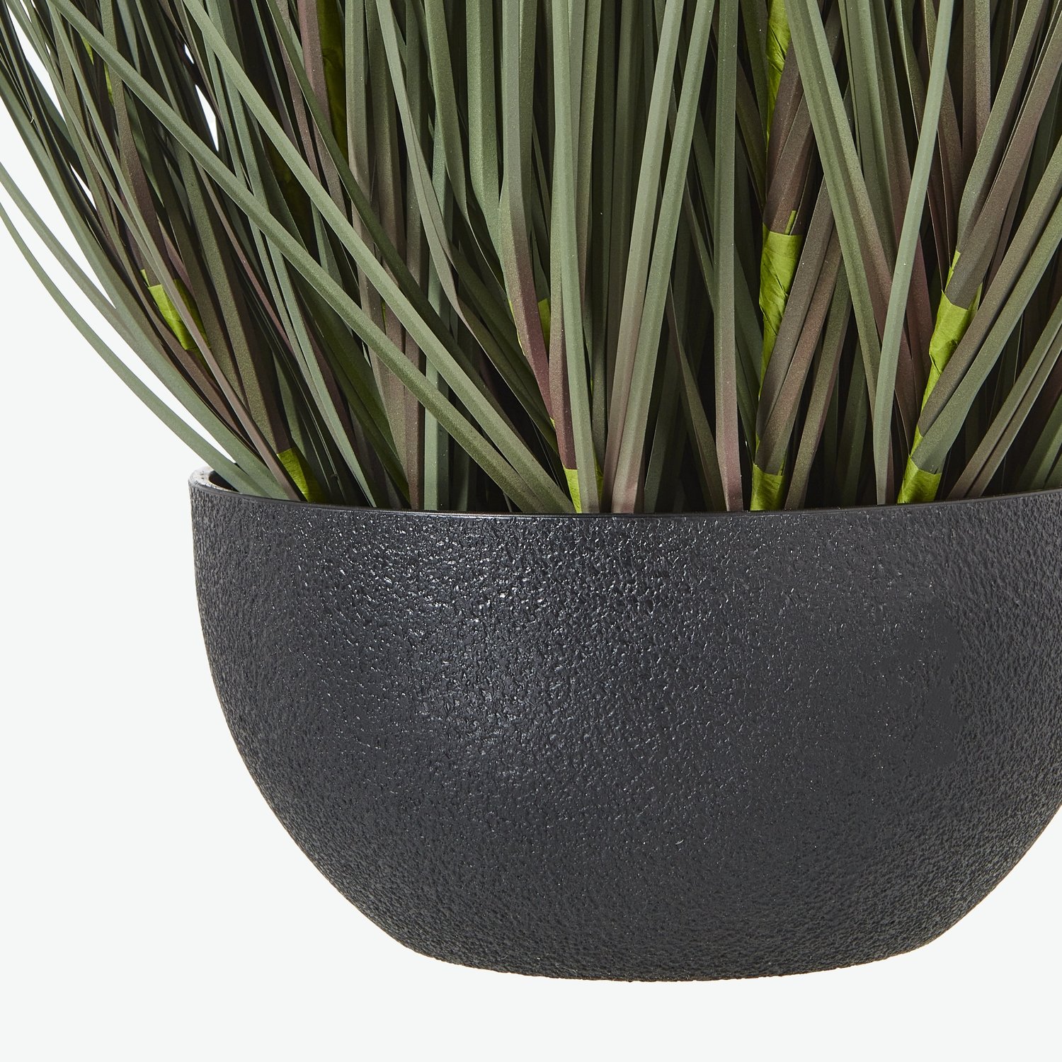 Large Fountain Grass Plant In Pot - Image 4