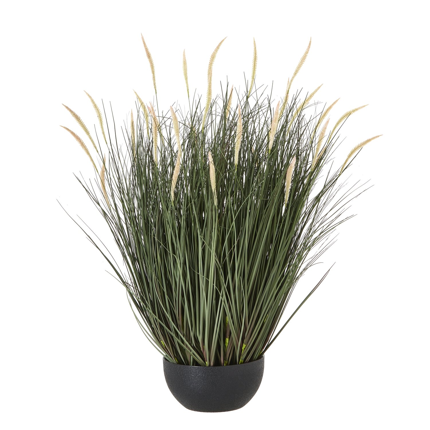 natural large fountain grass plant in pot product image