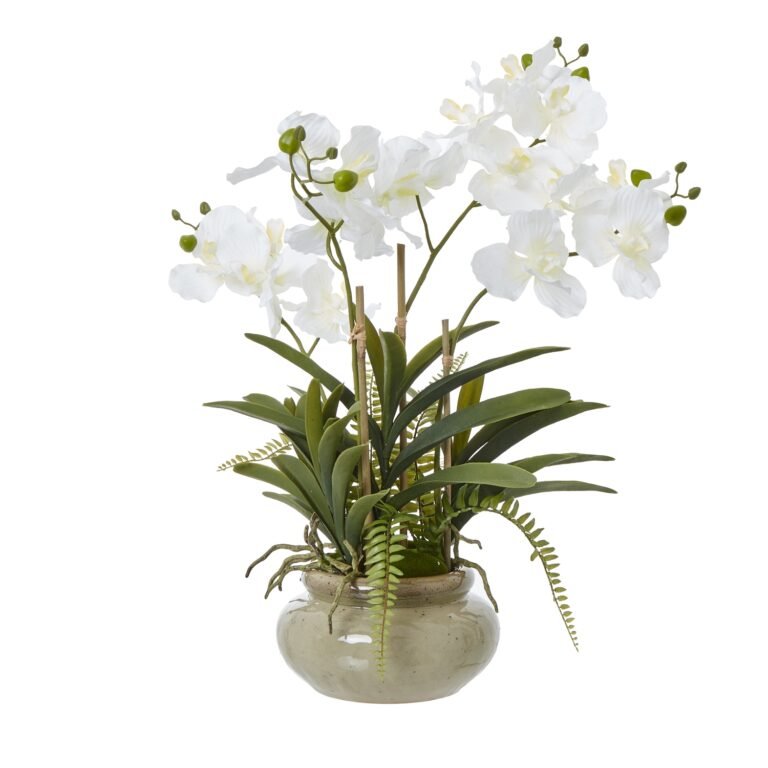 Botanica White Artificial Orchid Plant