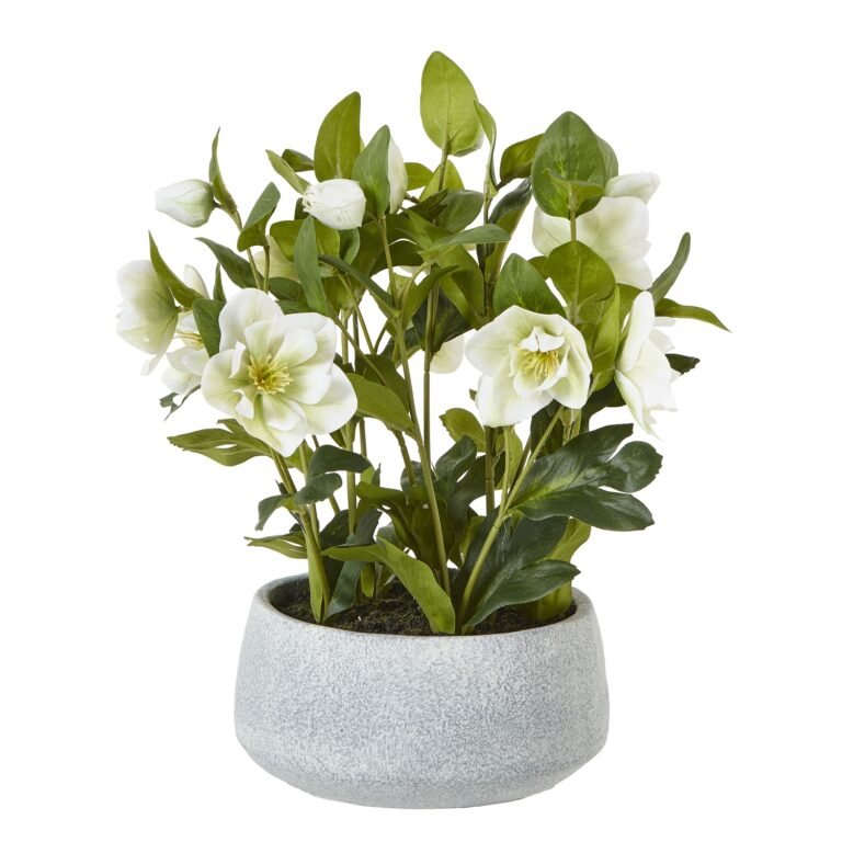 white artificial hellebore plant