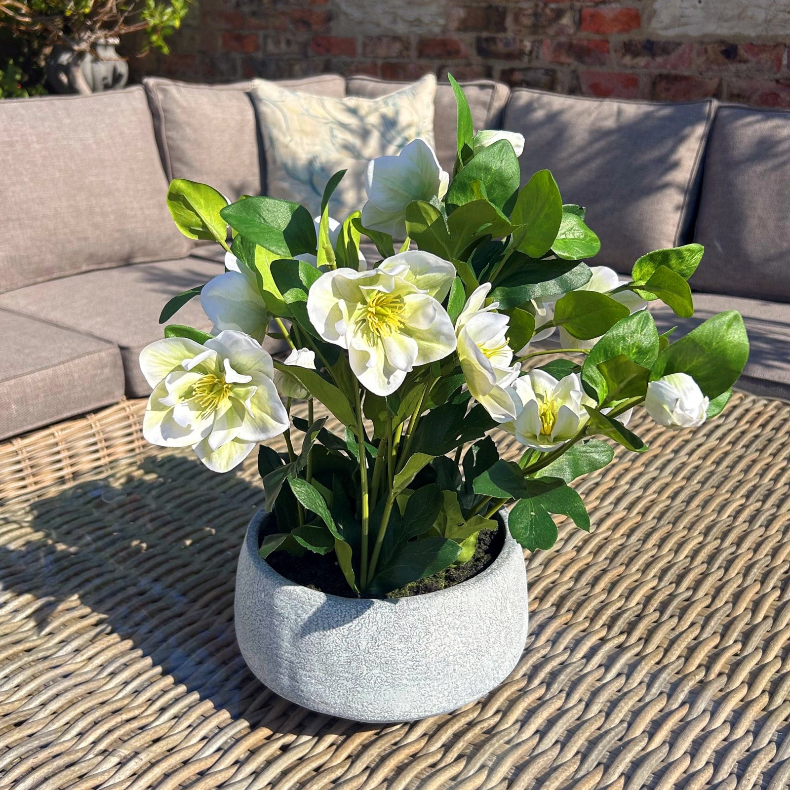 White Artificial Hellebore Plant in Grey Pot - Image 2