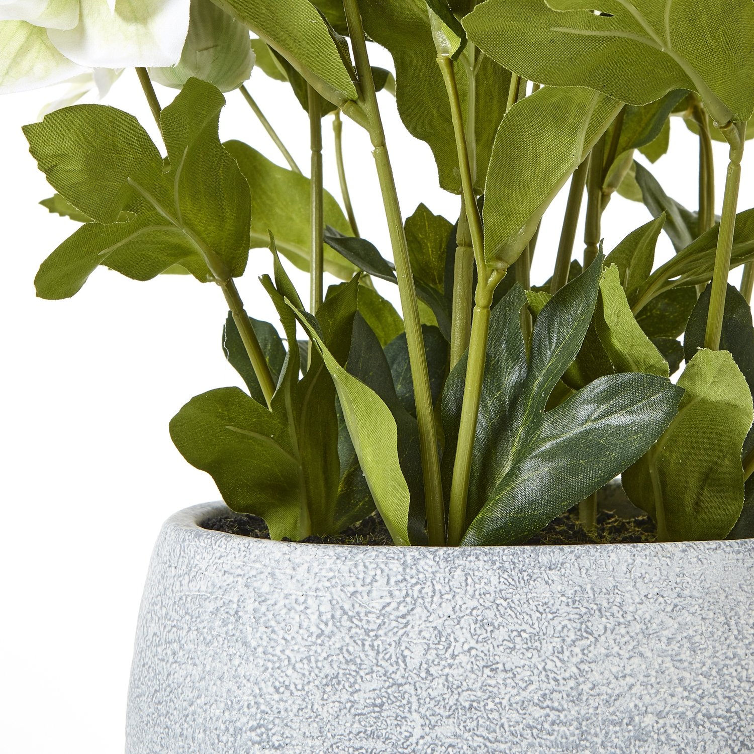 White Artificial Hellebore Plant in Grey Pot - Image 4