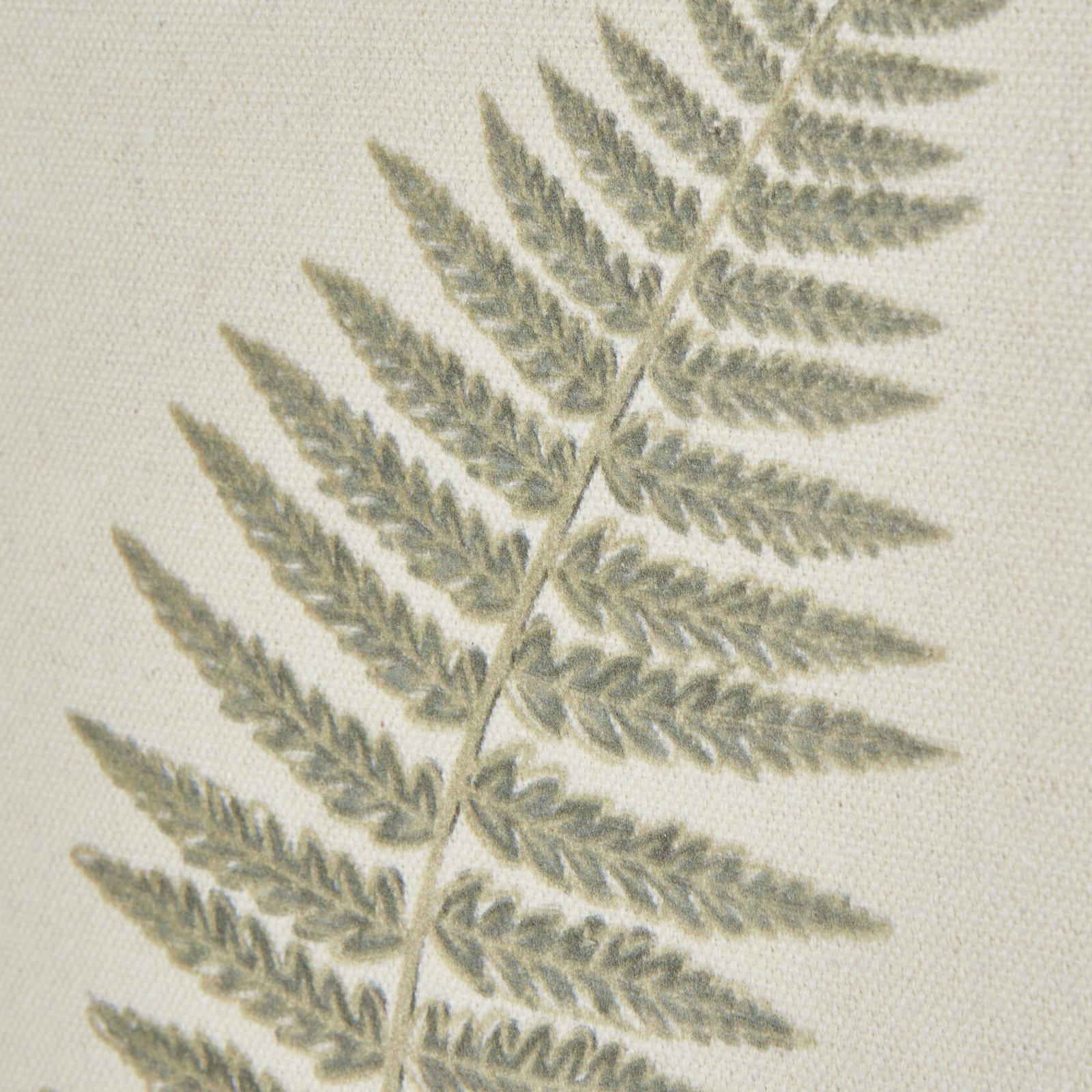 Botanica Framed Fern Wall Art - Image 4