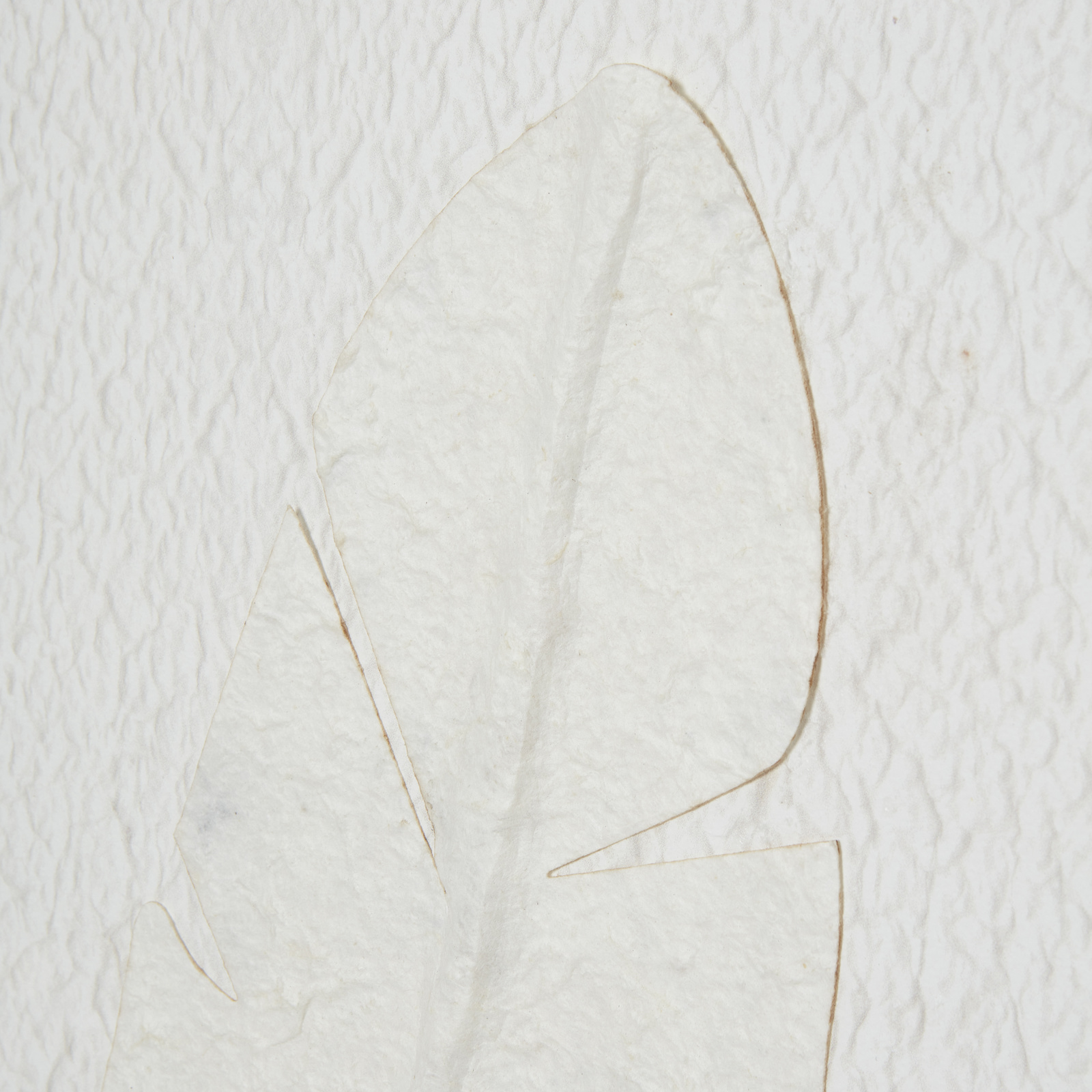 Large Quill White Feather Framed Wall Art - Image 4