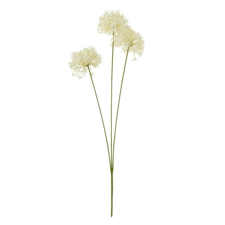 cream three head cream allium spray product image