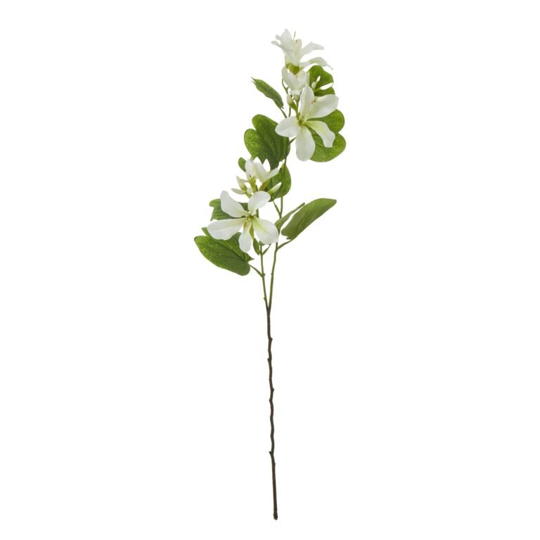 cream cream bauhinia orchid spray product image