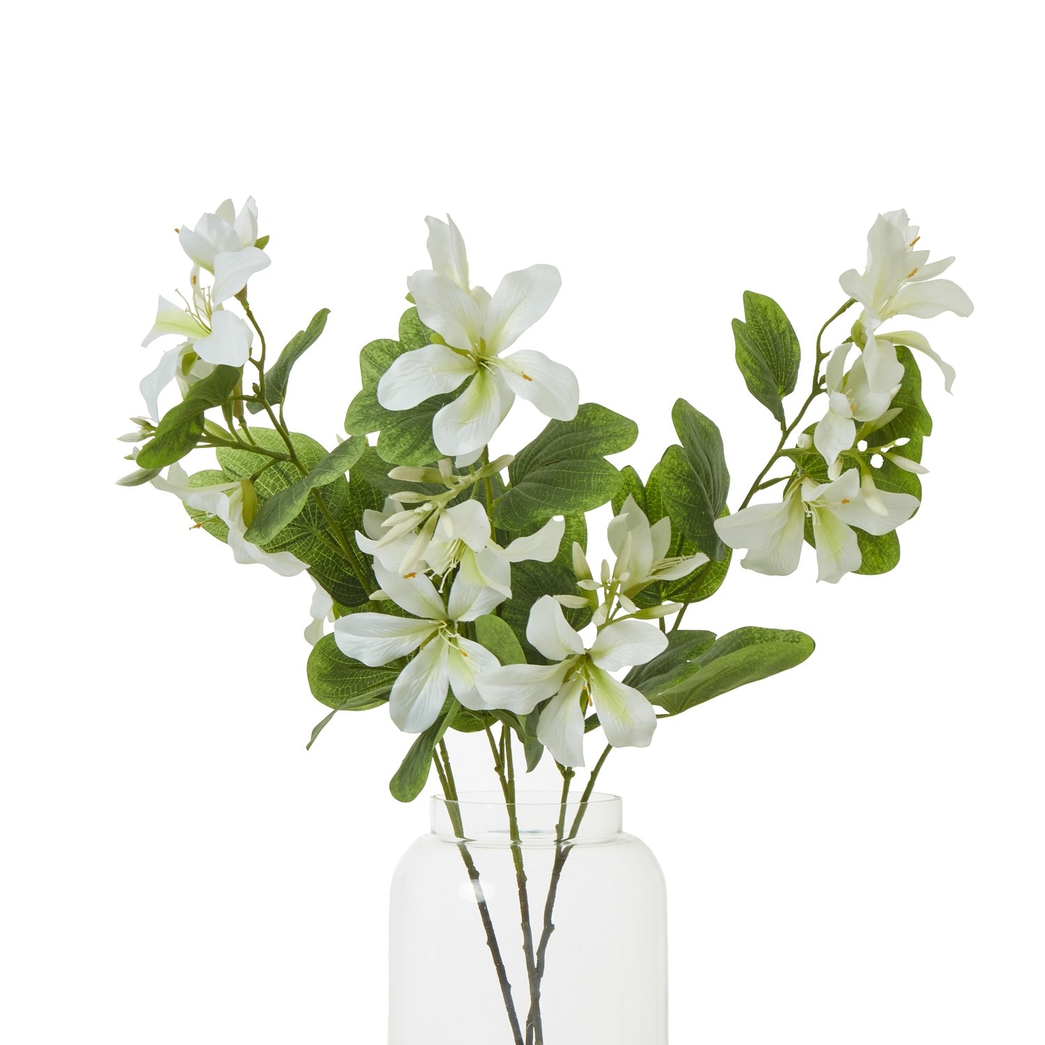 Cream Bauhinia Orchid Spray - Image 3