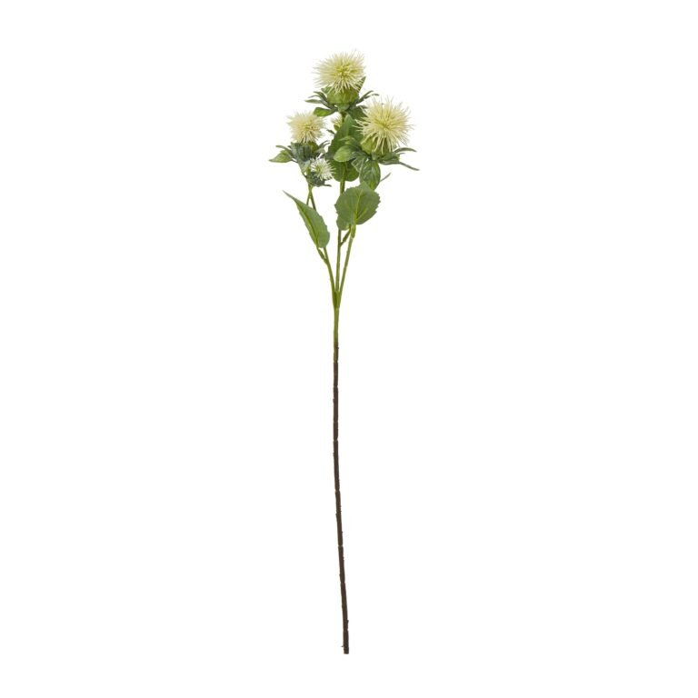 cream cream safflower spray product image