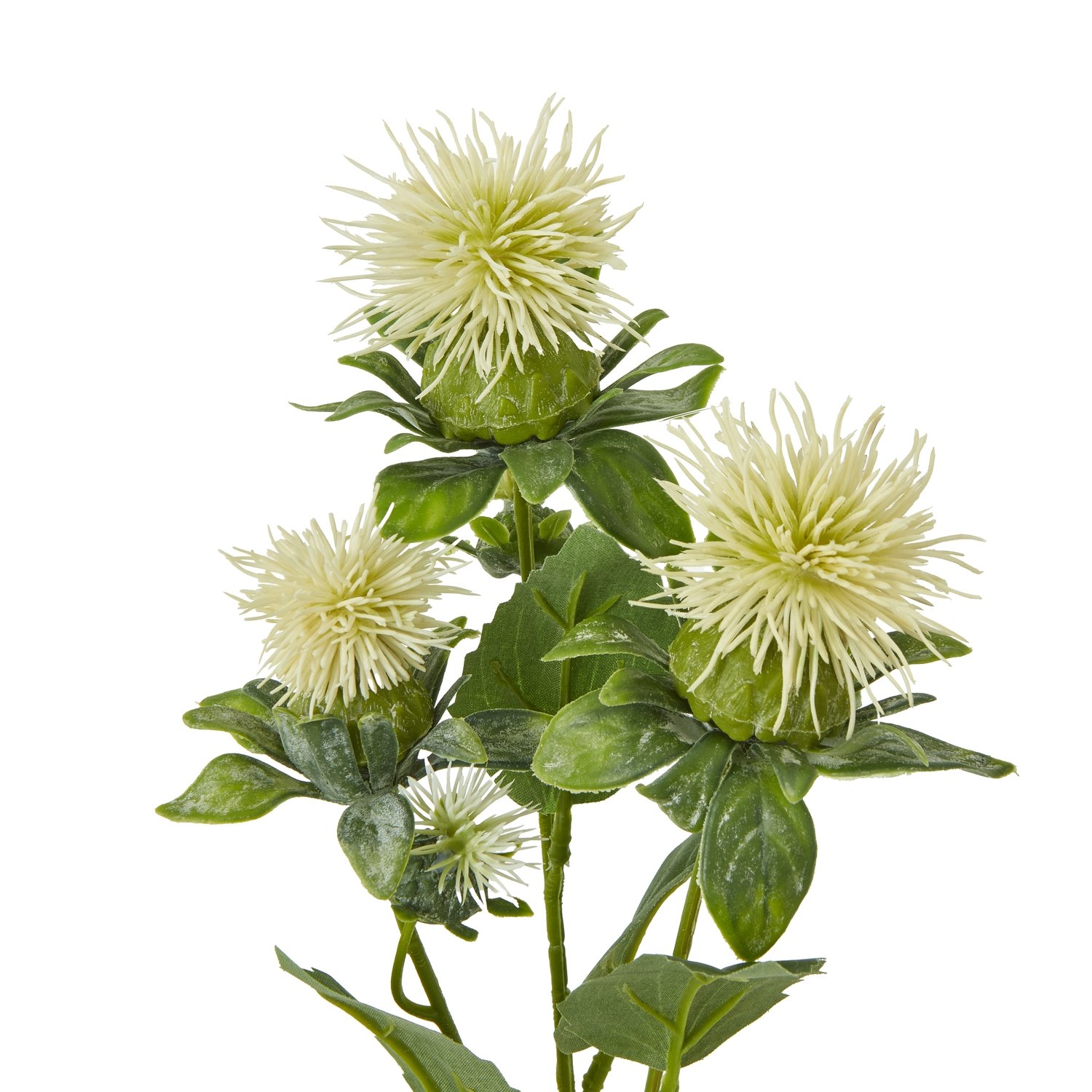 Cream Safflower Spray - Image 2