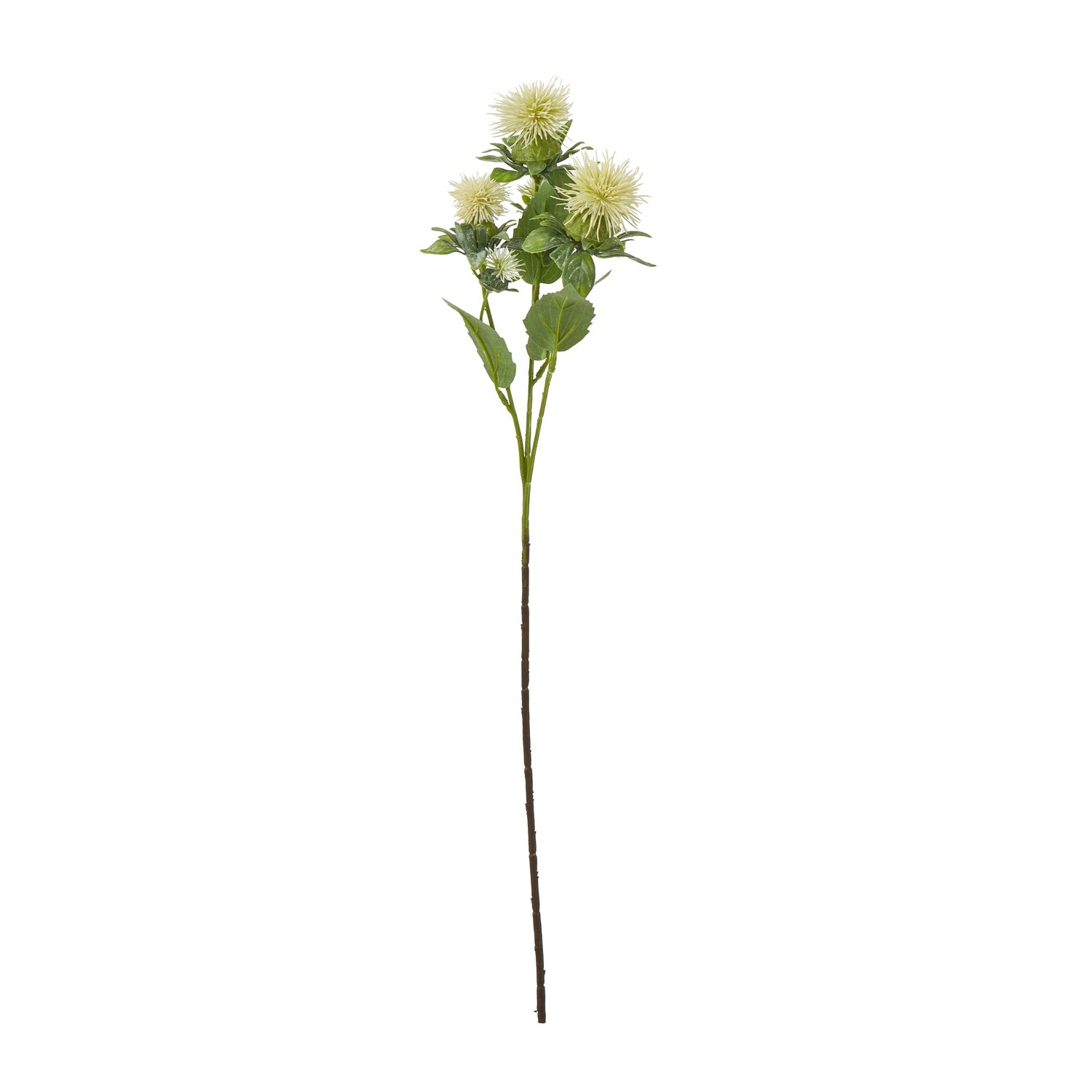 cream cream safflower spray product image