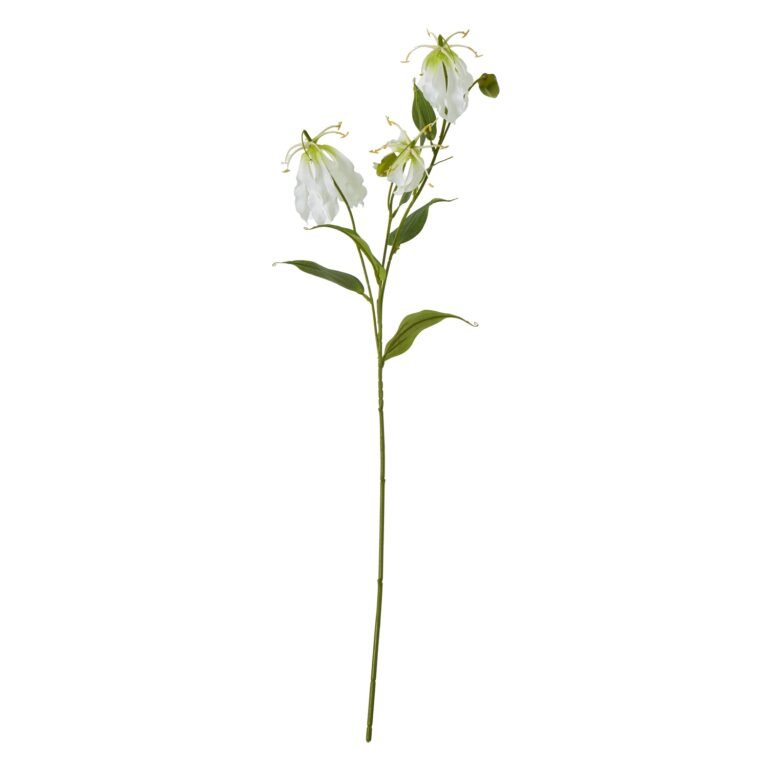 cream cream gloriosa spray product image