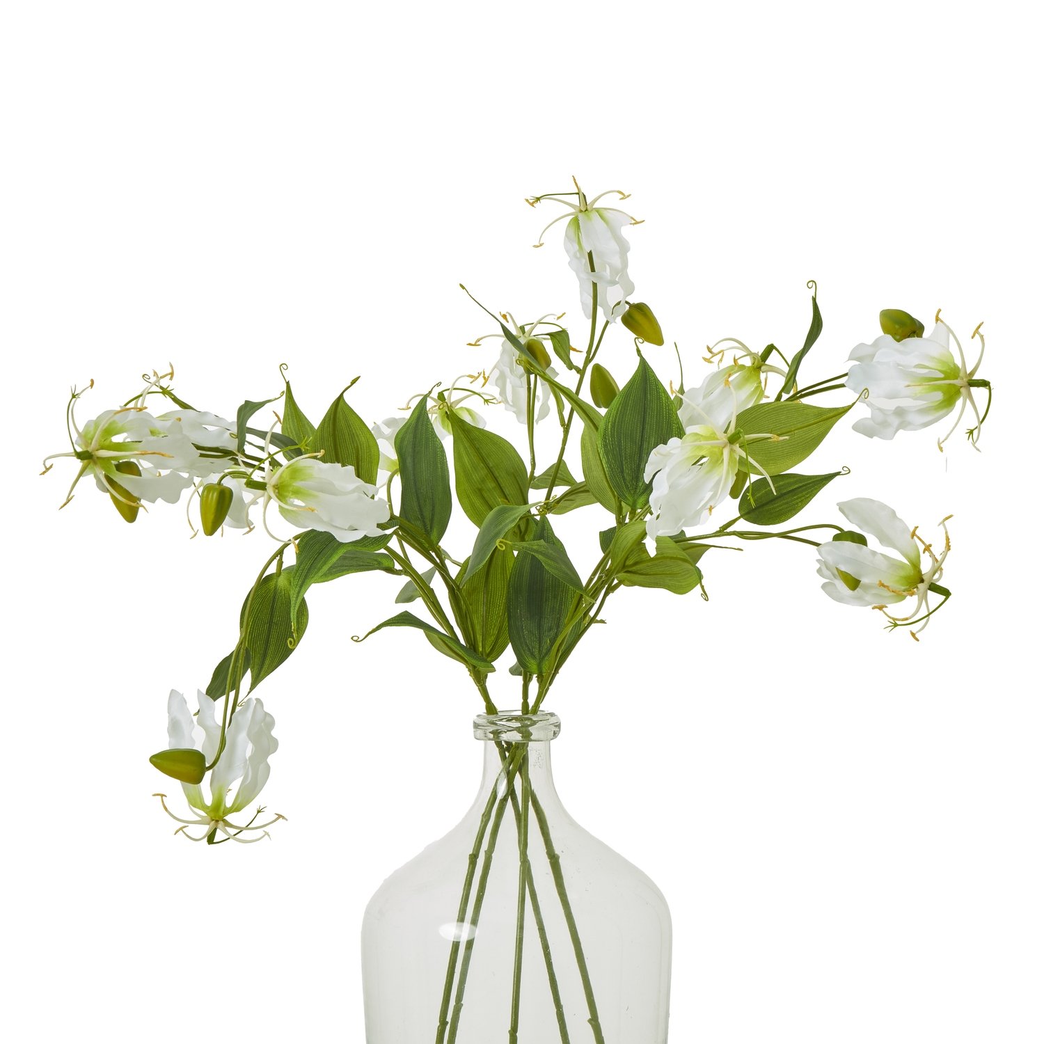 Cream Gloriosa Spray - Image 3