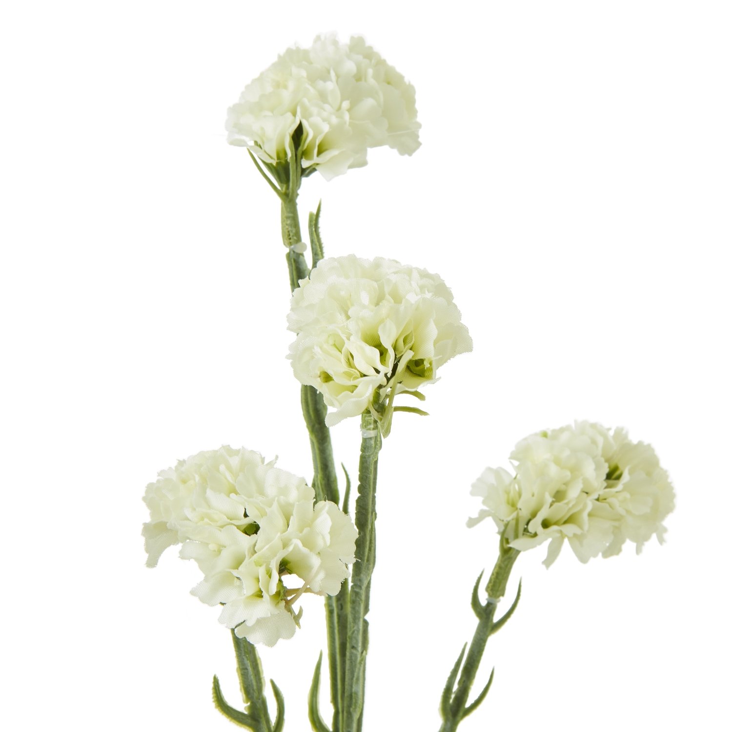 Cream Statice Spray - Image 2