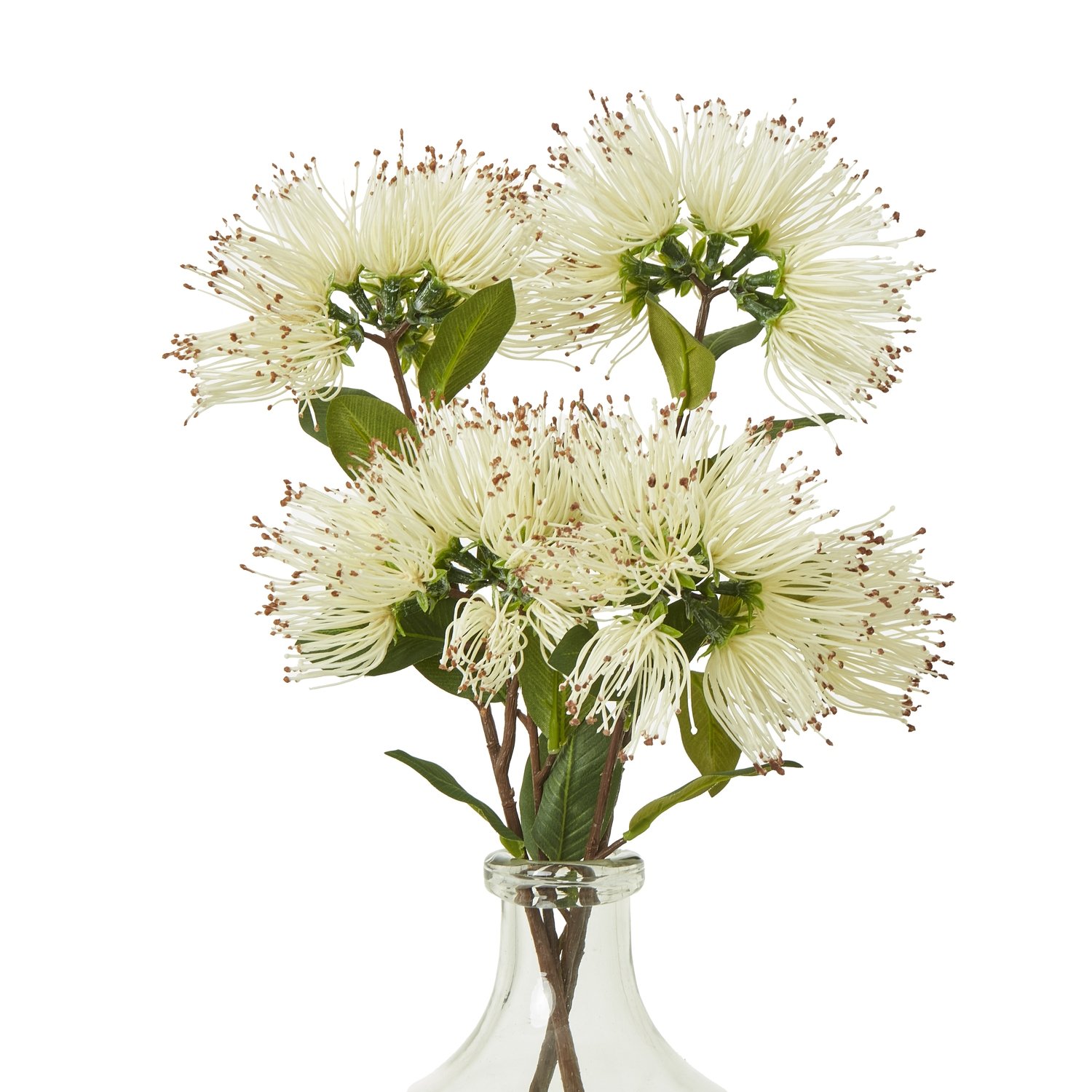 Cream Protea Nitida Spray - Image 3
