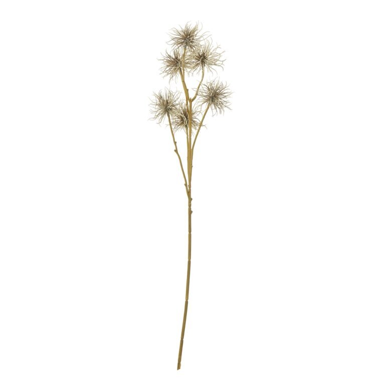 brown brown xanthium spray product image