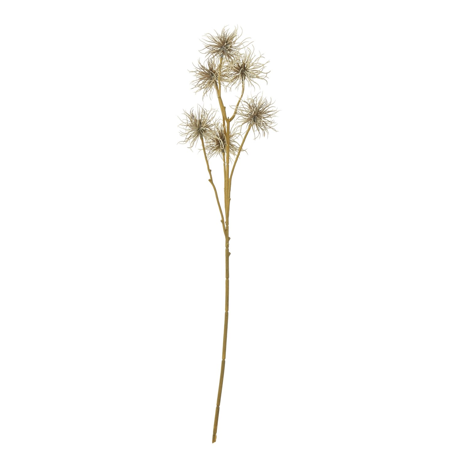 brown brown xanthium spray product image