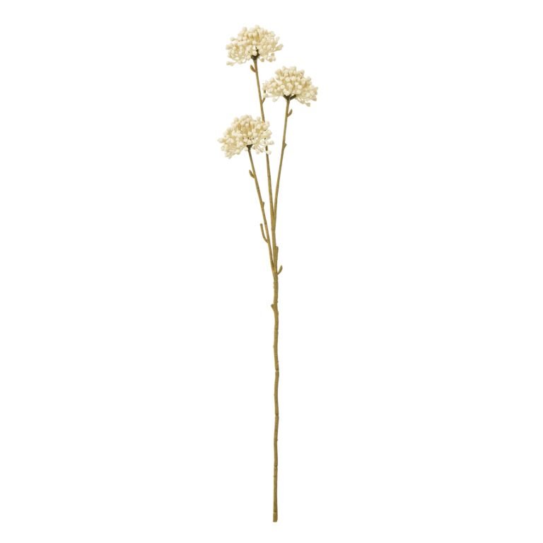 cream cream allium spray product image