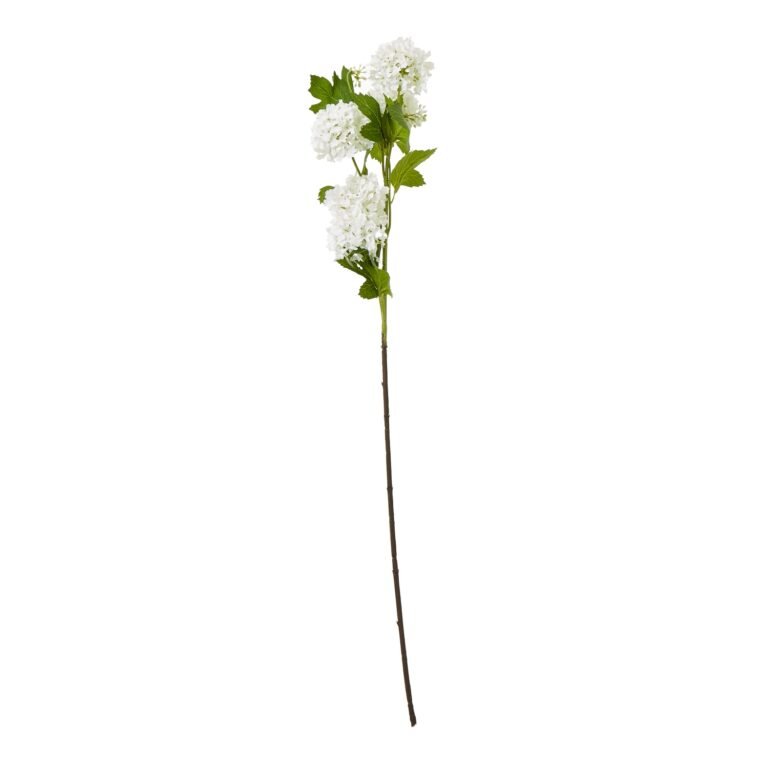 cream cream snowball viburnum spray product image