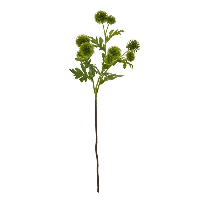 green green globe thistle spray product image