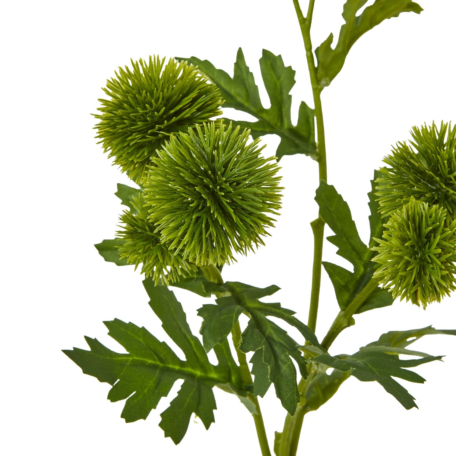 Green Globe Thistle Spray - Image 2