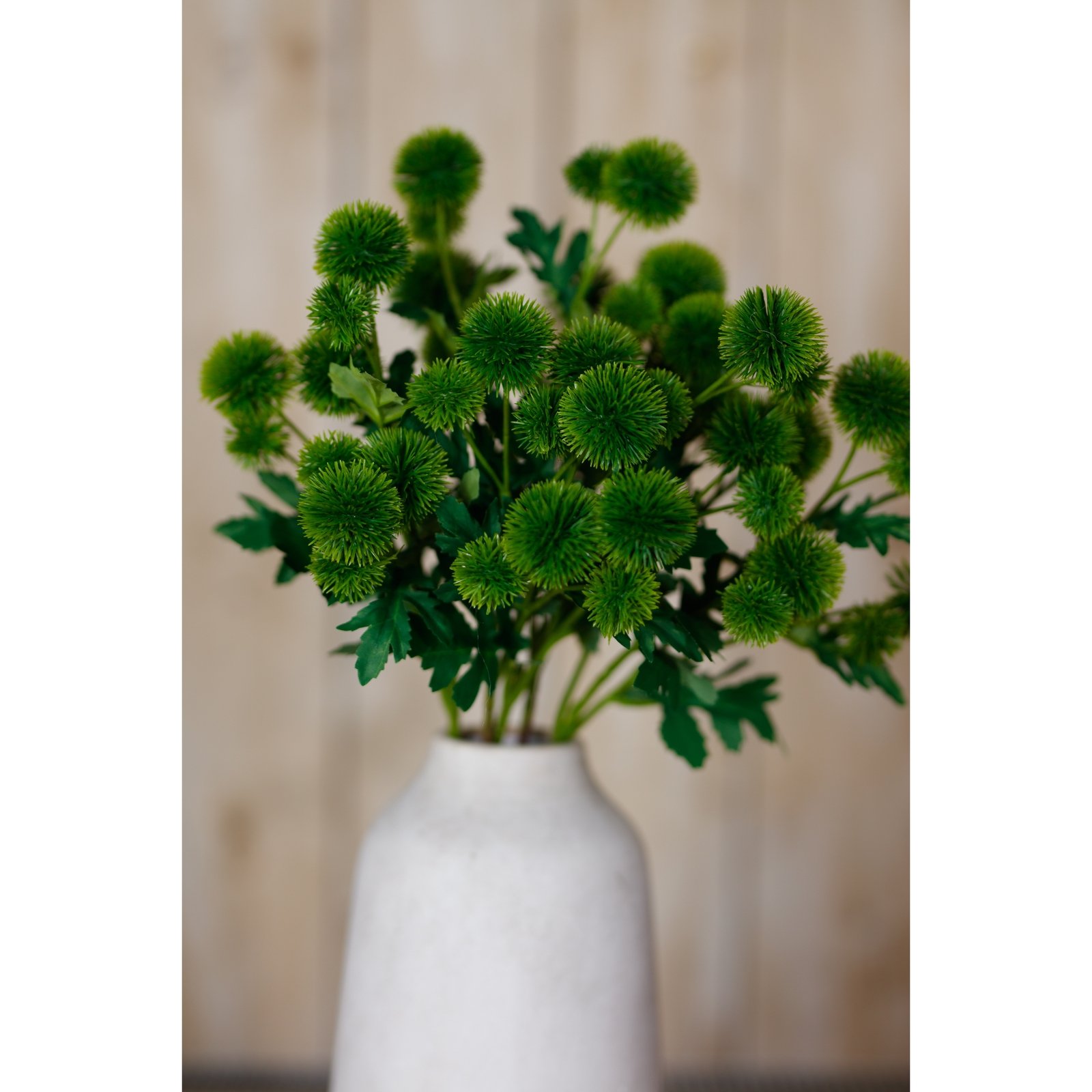 Green Globe Thistle Spray - Image 5