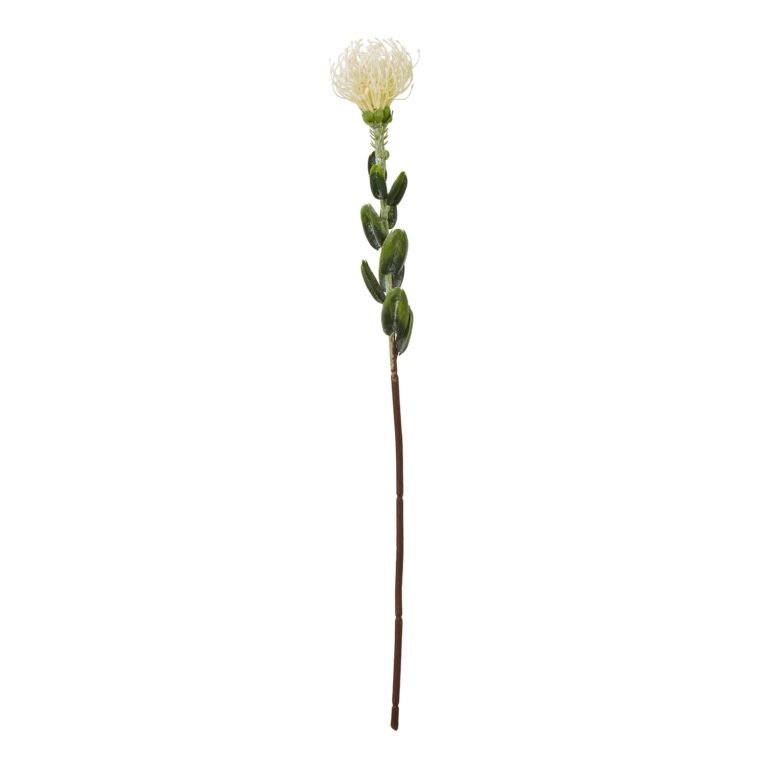 cream cream pincushion protea spray product image