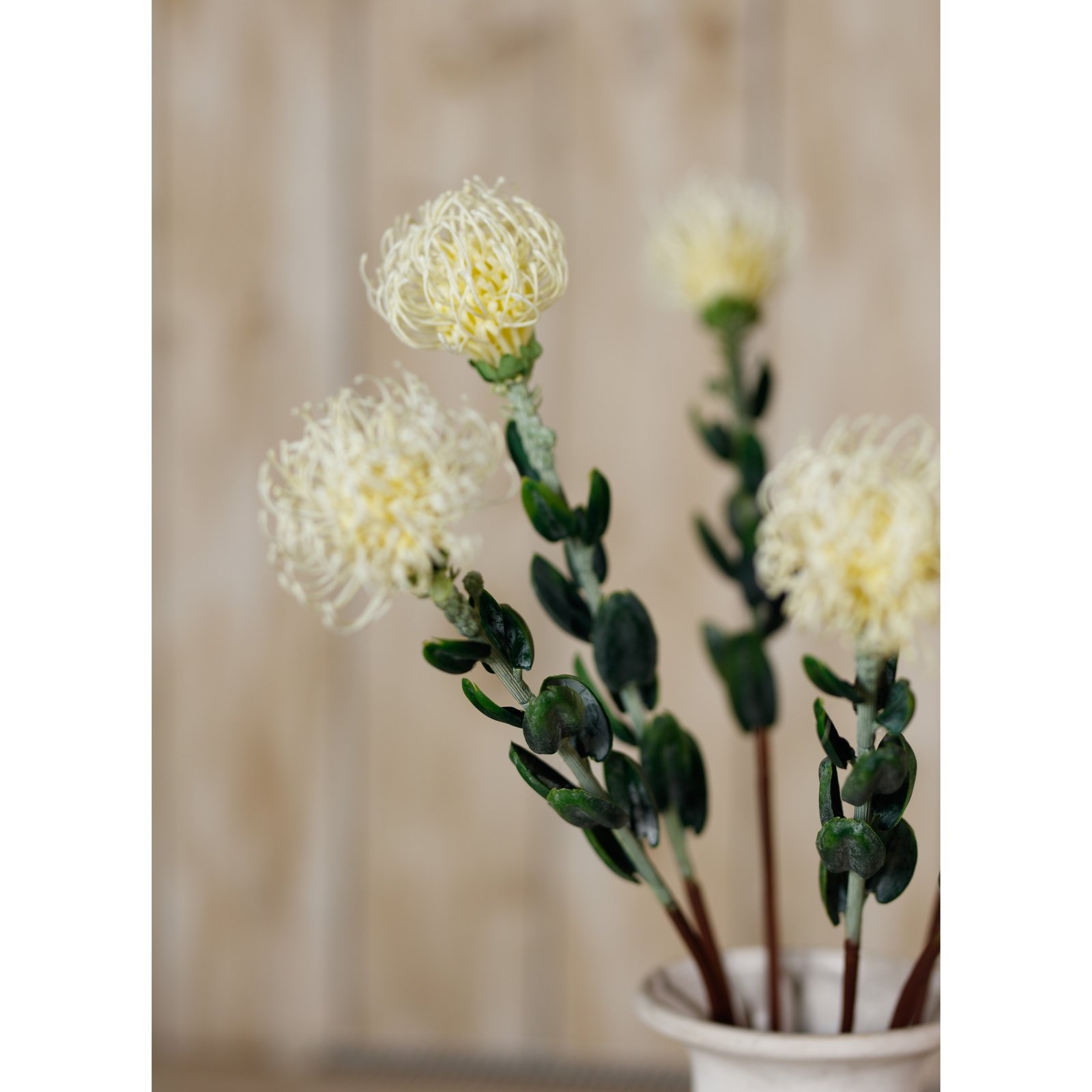 Cream Pincushion Protea Spray - Image 5