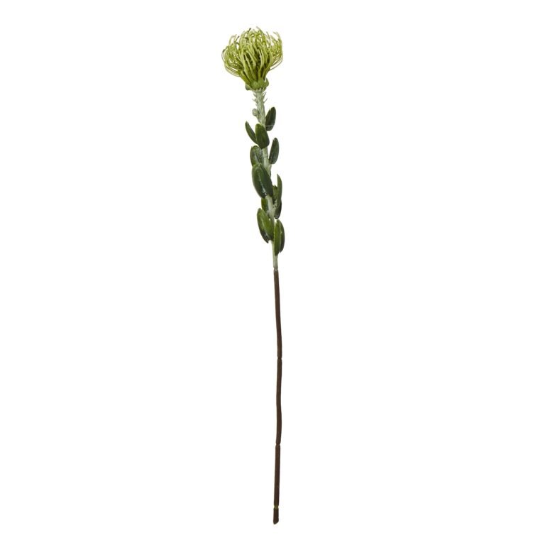 green green pincushion protea spray product image