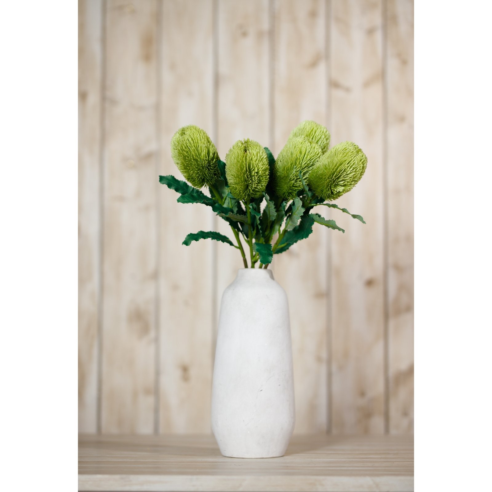 Large Green Banksia Serrata Stem - Image 4