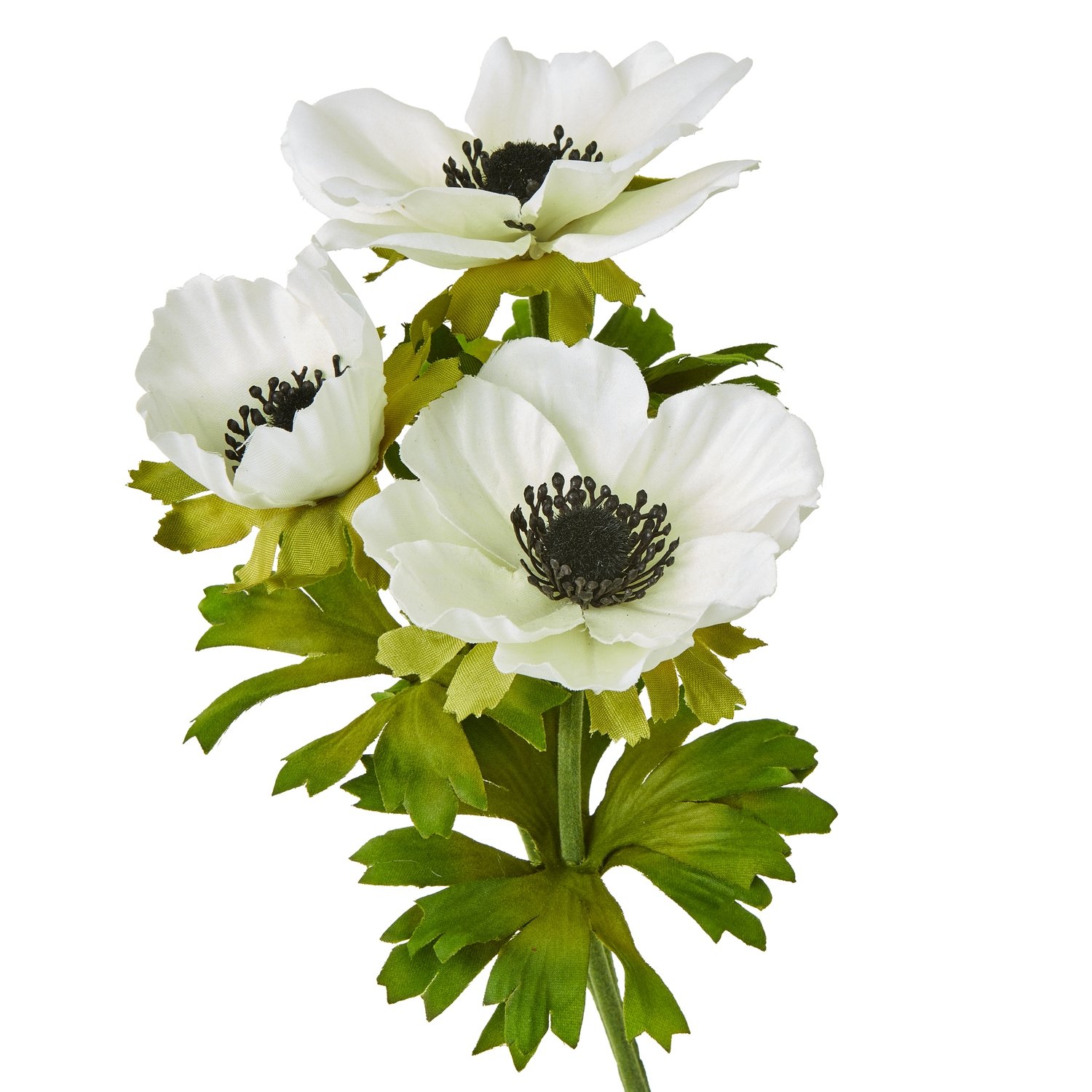 White Anemone Spray - Image 2