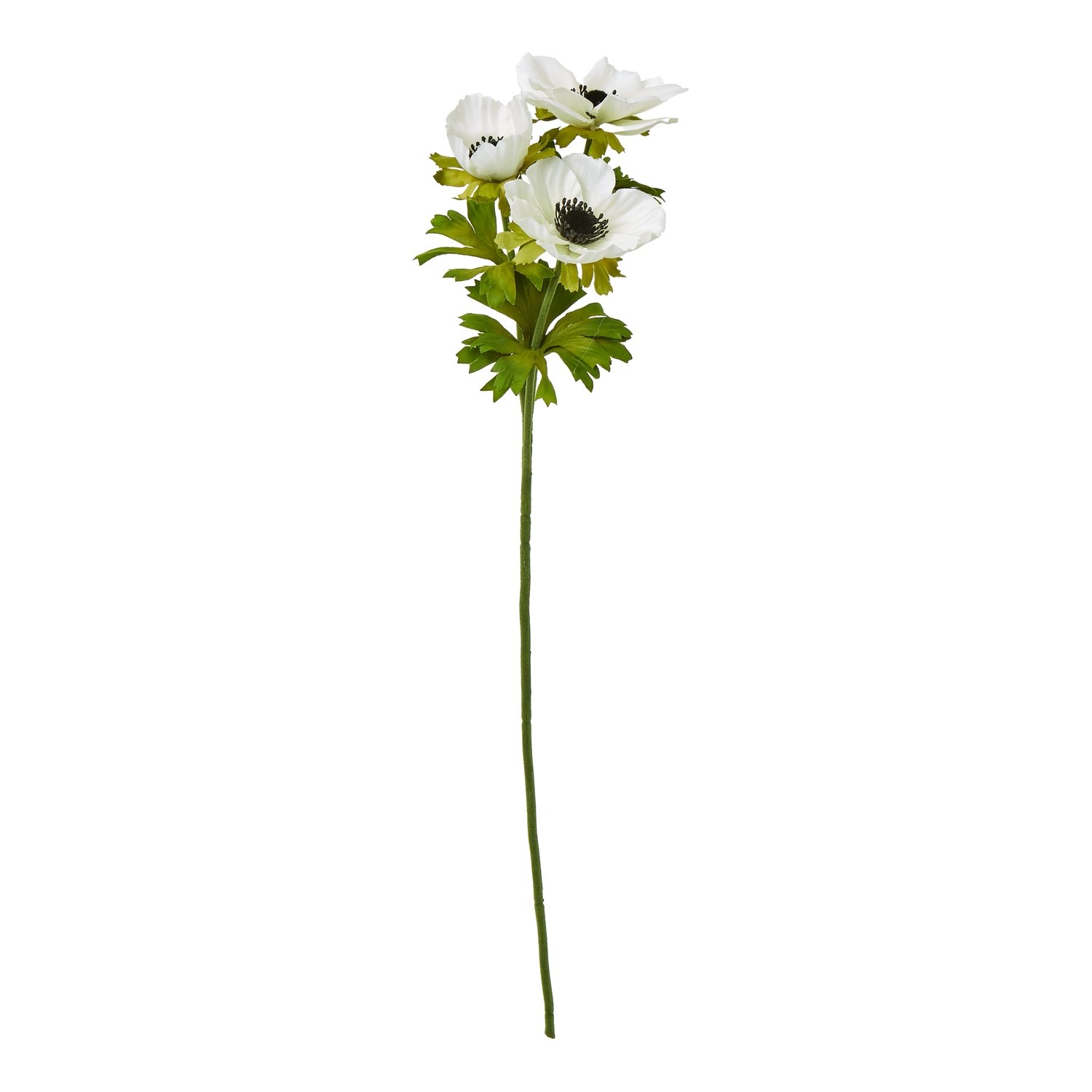 white white anemone spray product image