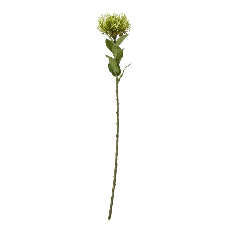 green green protea lorea stem product image