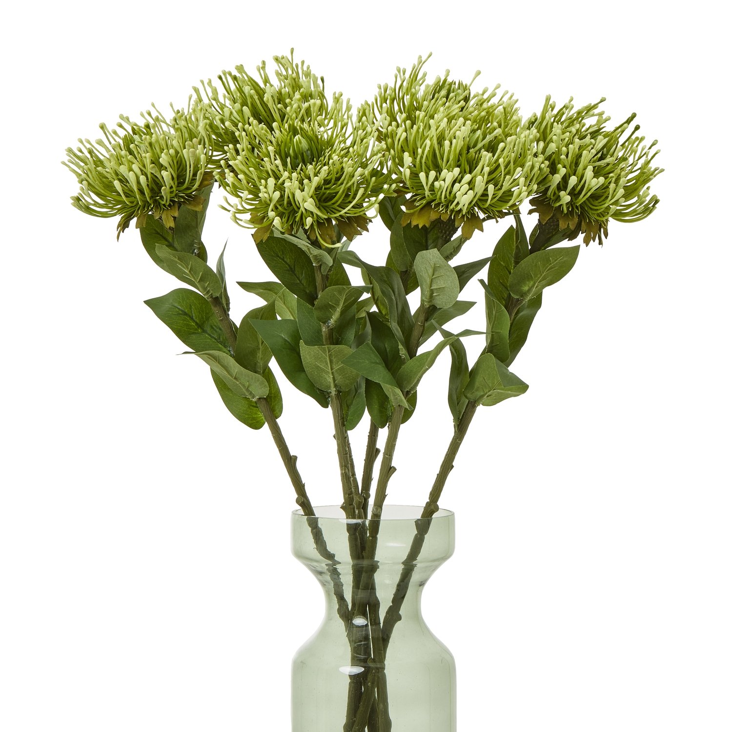 Green Protea Lorea Stem - Image 3