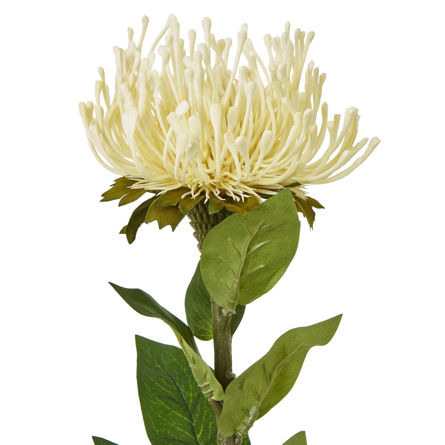 Cream Protea Lorea Stem - Image 2