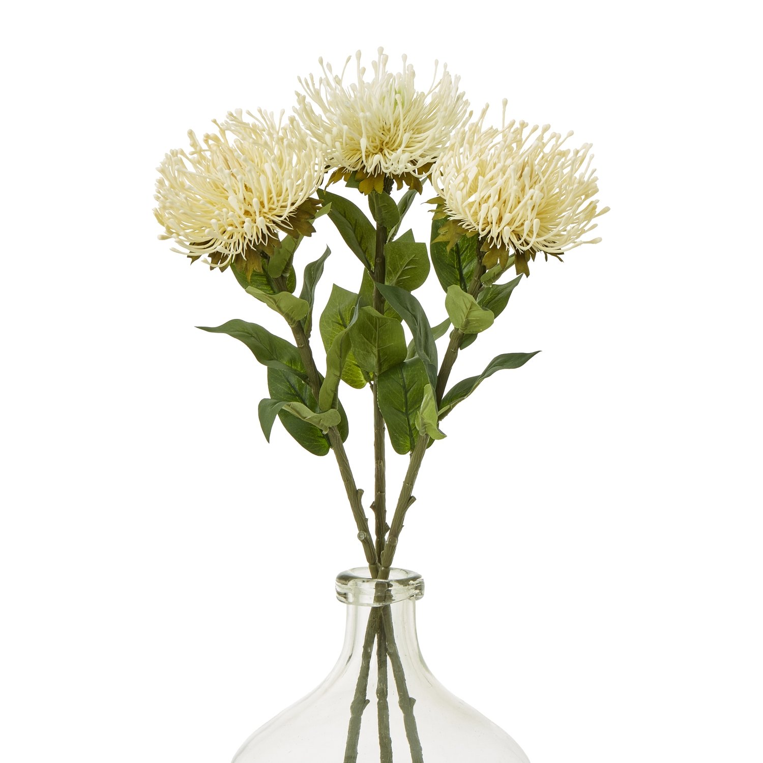 Cream Protea Lorea Stem - Image 3