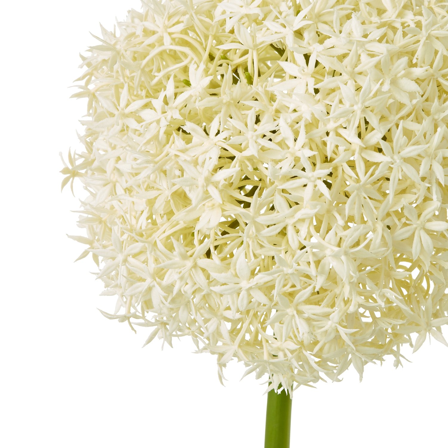 Giant Cream Artificial Allium Stem - Image 2