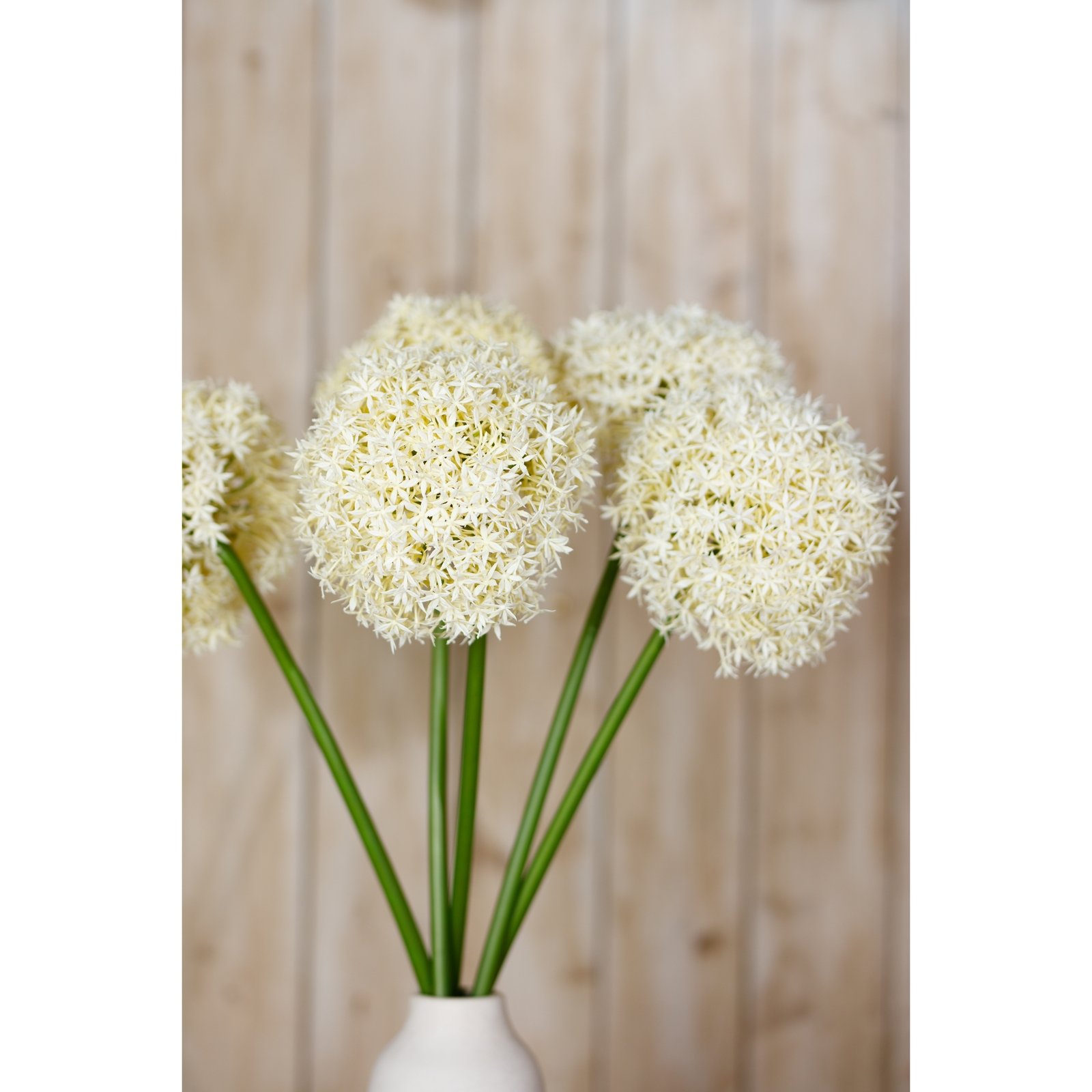 Giant Cream Artificial Allium Stem - Image 5
