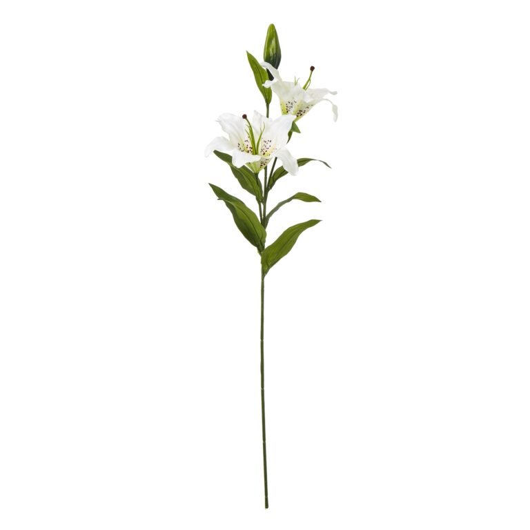 white white madonna lily spray product image