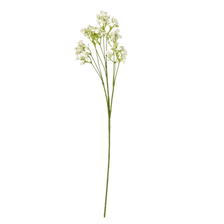 cream cream gypsophila stem product image