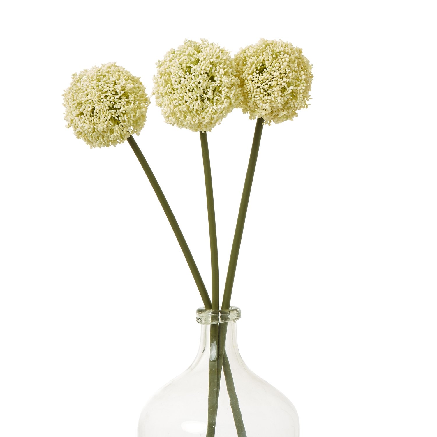 Cream Allium Stem - Image 3